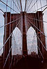 Click here for an enlarged view